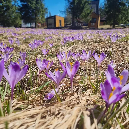 Jozef Przy Szlaku Do Doliny Chocholowskiej I Lejowej, 850m Od Doliny Koscieliskiej Vakantiehuis