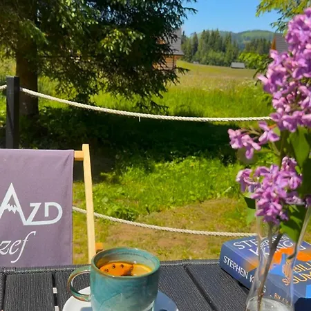 Jozef Przy Szlaku Do Doliny Chocholowskiej I Lejowej, 850m Od Doliny Koscieliskiej * Witów