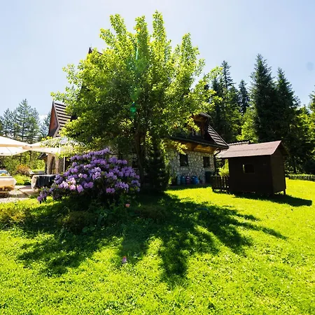 Jozef Przy Szlaku Do Doliny Chocholowskiej I Lejowej, 850m Od Doliny Koscieliskiej