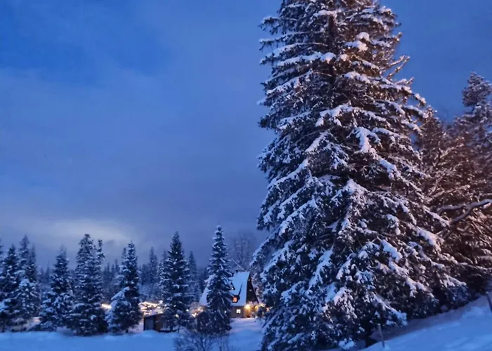 Zajazd Jozef Domki Przy Sciezce Pod Reglami, 850M Od Doliny Koscieliskiej * Witów