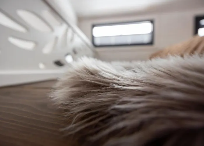 Zajazd Jozef Domki Przy Sciezce Pod Reglami, 850M Od Doliny Koscieliskiej